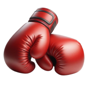 luvas-boxe